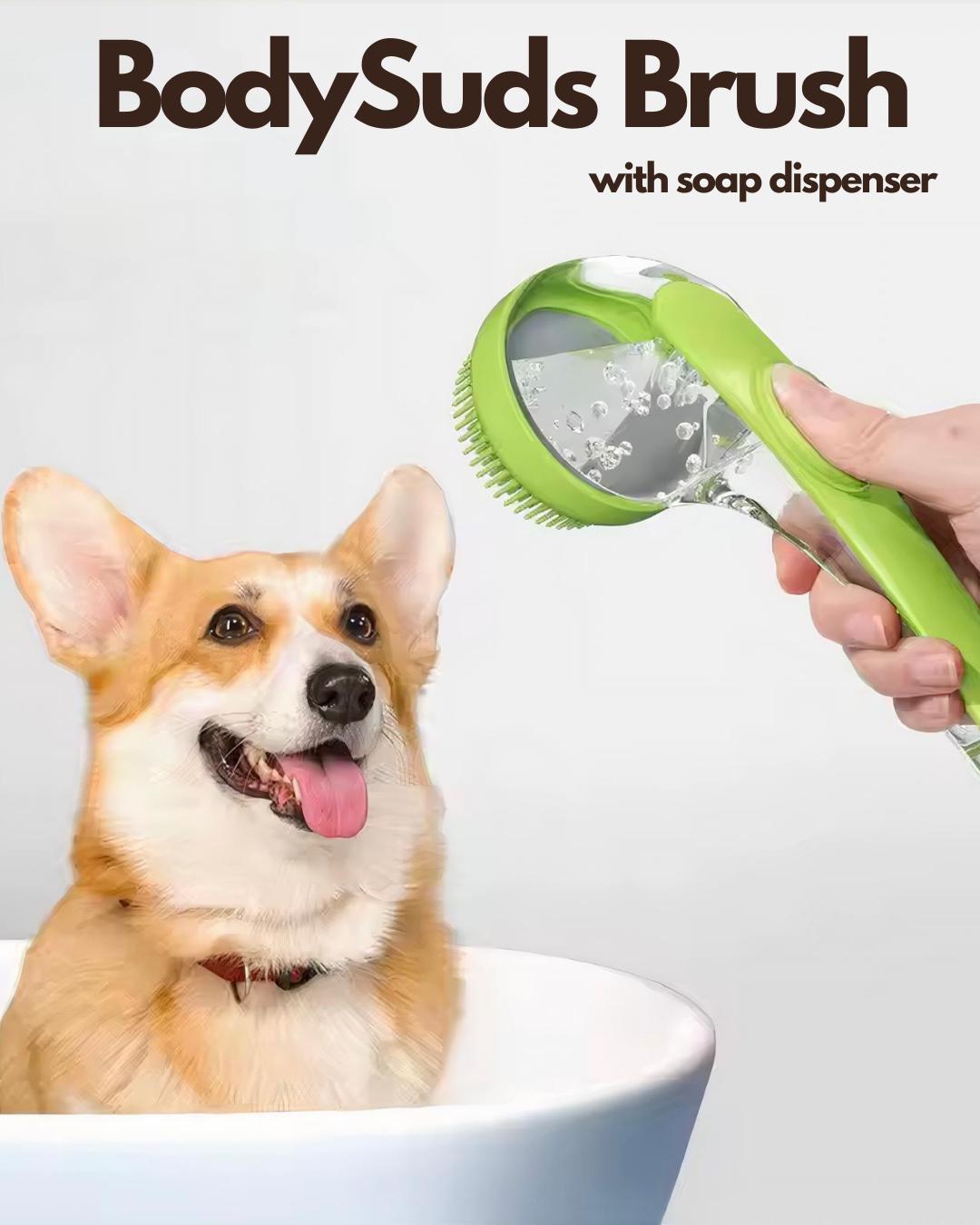 BODYSUDS BRUSH